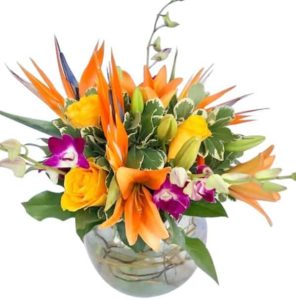 Escape to the islands with this tropical display of flowers, featuring vibrant orange lilies, bird of paradise, yellow roses and elegant purple dendrobium orchid sprays with curly willow circled inside the bubble bowl.