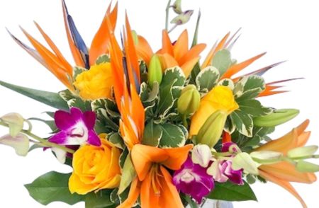 Escape to the islands with this tropical display of flowers, featuring vibrant orange lilies, bird of paradise, yellow roses and elegant purple dendrobium orchid sprays with curly willow circled inside the bubble bowl.